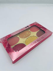 JJ MODEL 6COLOURS-BLUSH PROFESSIONAL MAKE-UP