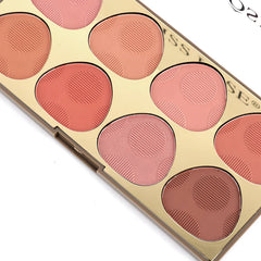 Miss Rose 8-color blusher Professional makeup