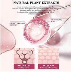 Guanjing Sexy Pink Hyaluronic Acid Nicotinamide Sakura Extract Vitamin C 30g