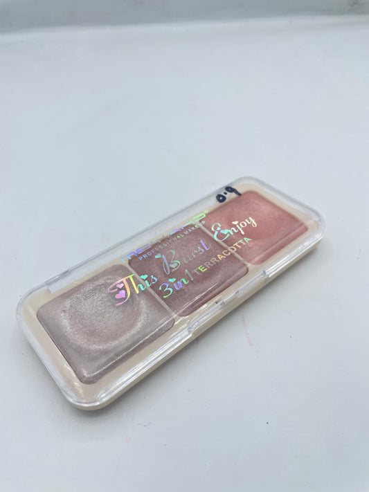 MSYAHO PROFESSIONAL MAKEUP THIS BURST ENJOY 3 IN 1 TERRACOTTA